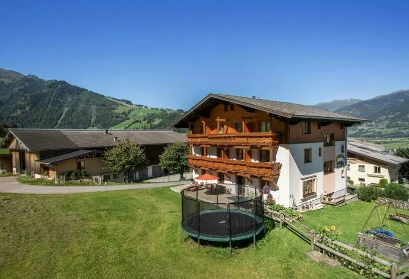 هتل Oberlehenhof