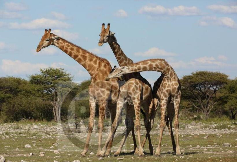 Пансион Le Gallerie Luxury Accommodation