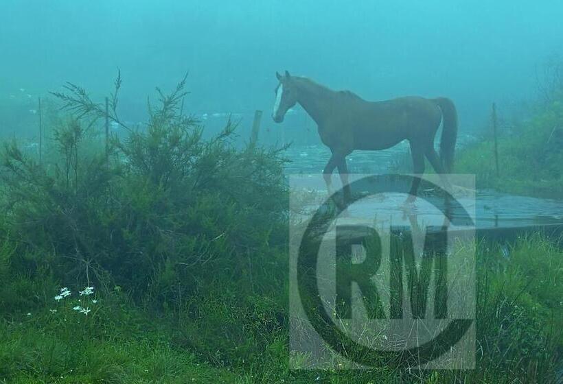 Пансион Le Gallerie Luxury Accommodation