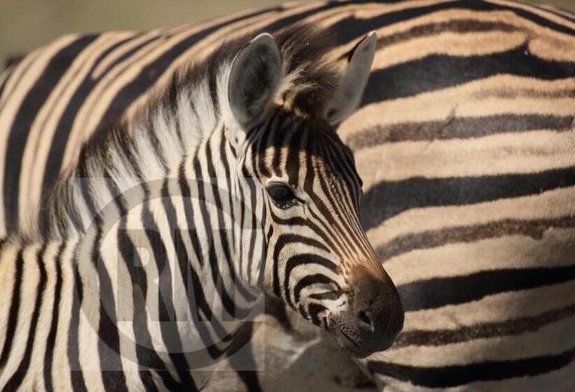 Пансион Le Gallerie Luxury Accommodation