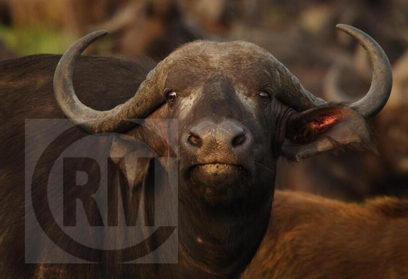 Пансион Le Gallerie Luxury Accommodation