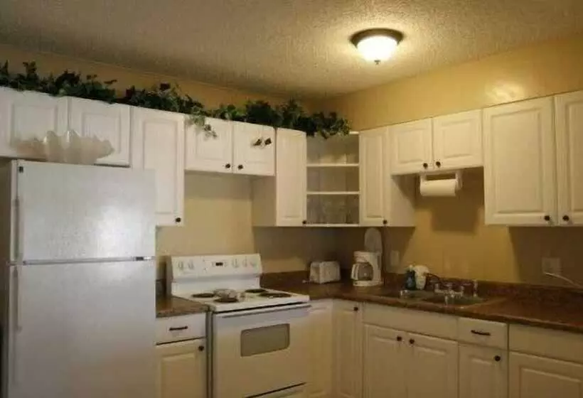 ホテル Oasis Palms Resort