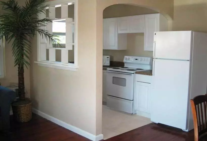 ホテル Oasis Palms Resort