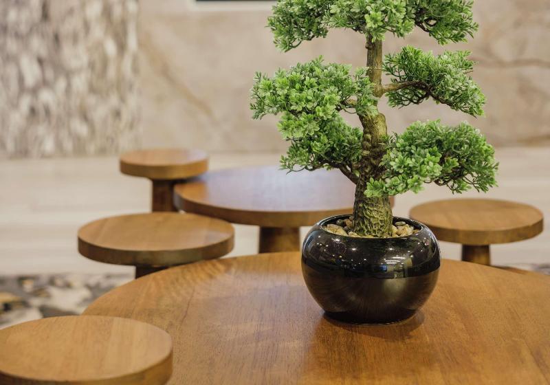 فندق Trilogy Albany Airport, Tapestry Collection By Hilton