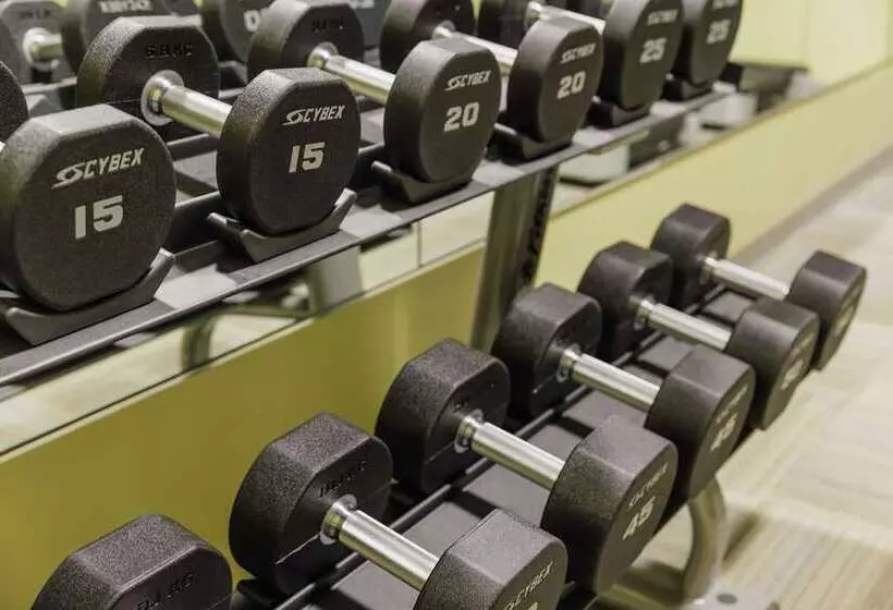 Hotel Trilogy Albany Airport, Tapestry Collection By Hilton