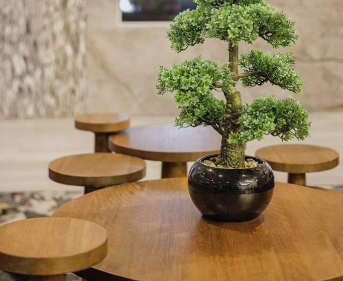 فندق Trilogy Albany Airport, Tapestry Collection By Hilton