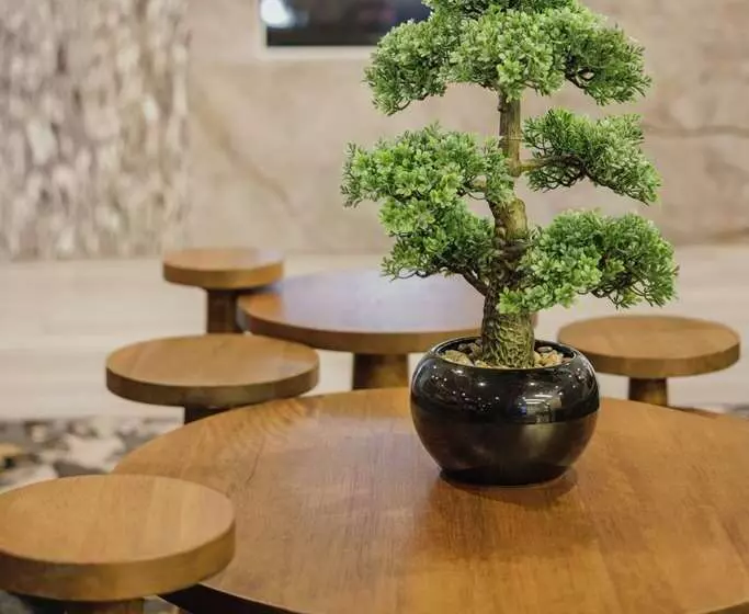 Hotel Trilogy Albany Airport, Tapestry Collection By Hilton