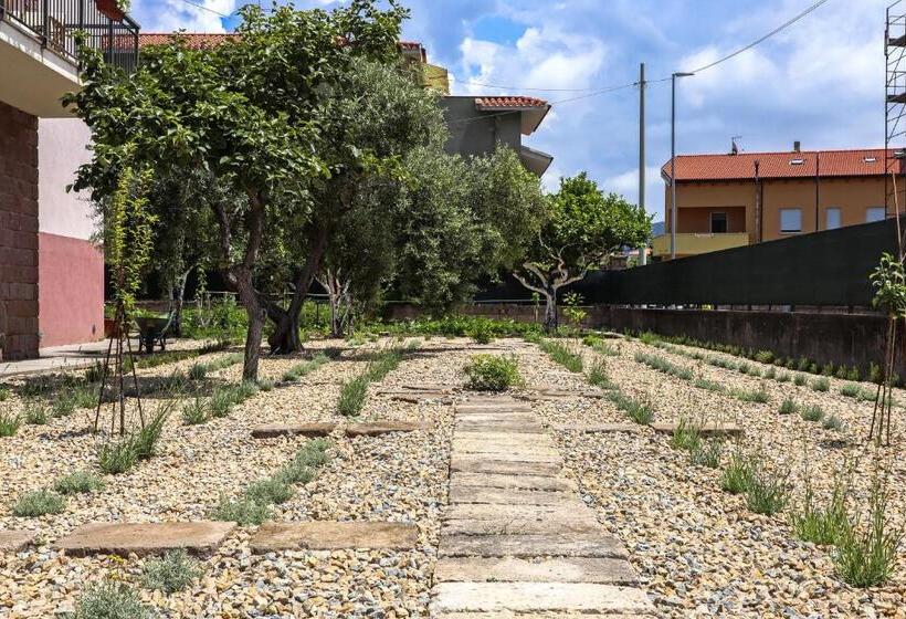 Bed and Breakfast Vaarak