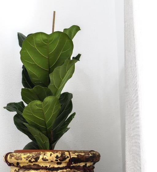 Bed and Breakfast Vaarak