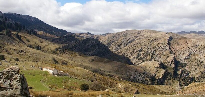 Hacienda Guaro Viejo