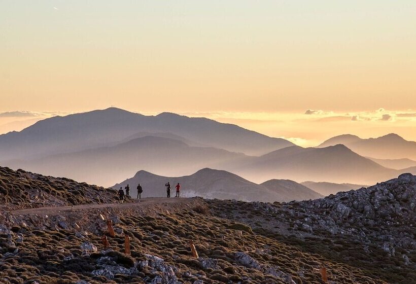 Hacienda Guaro Viejo