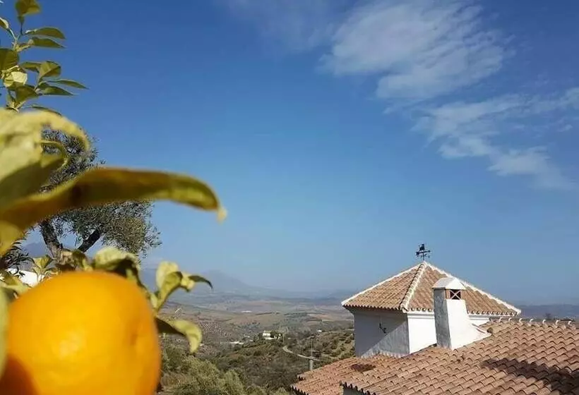 Hacienda Guaro Viejo