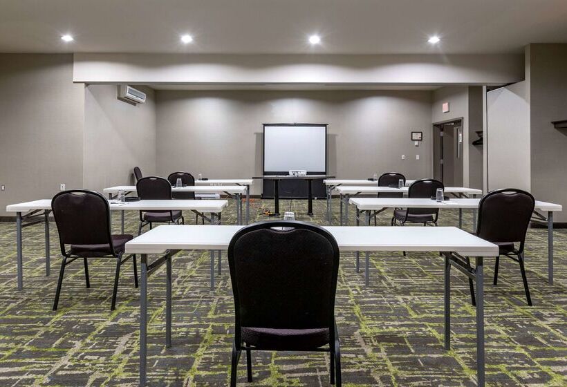 Best Western Plus Dartmouth Hotel & Suites