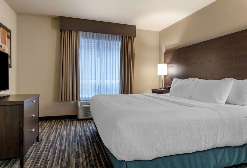 Best Western Plus Dartmouth Hotel & Suites