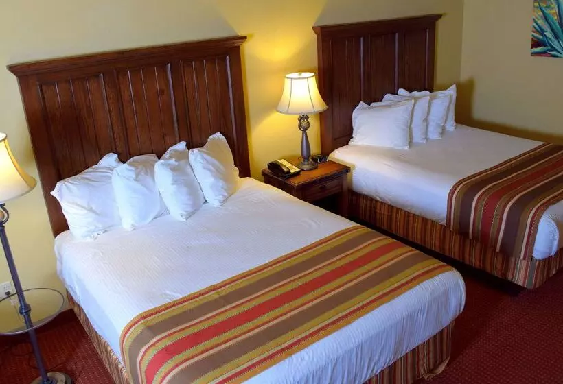 酒店 Best Western San Isidro Inn