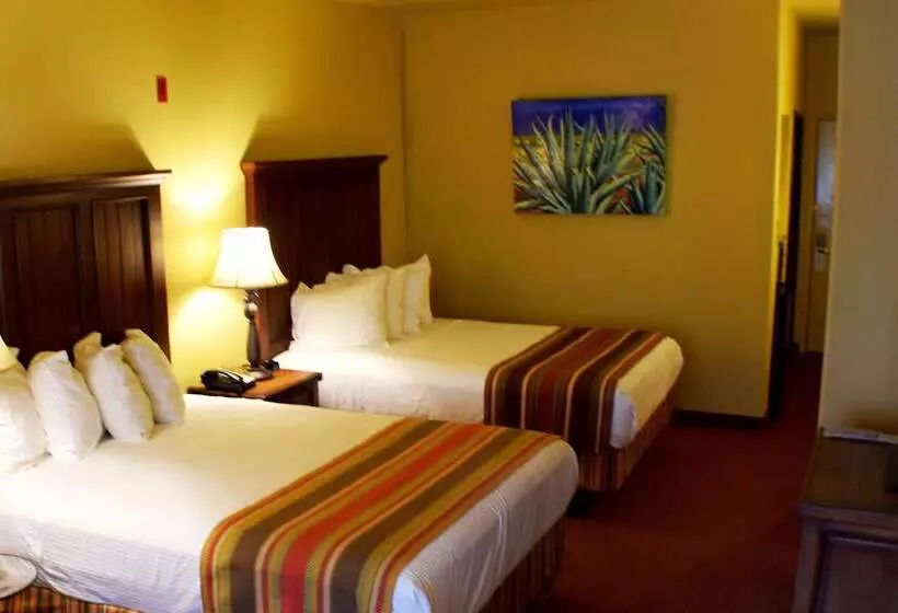 酒店 Best Western San Isidro Inn