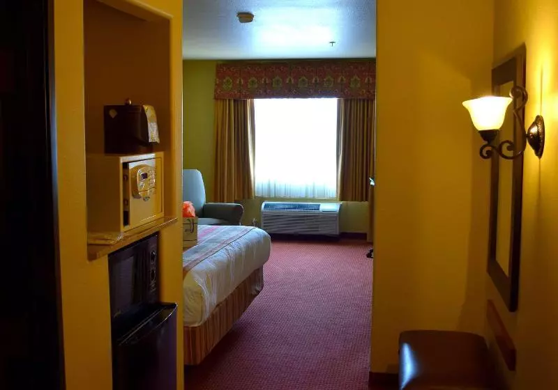 酒店 Best Western San Isidro Inn