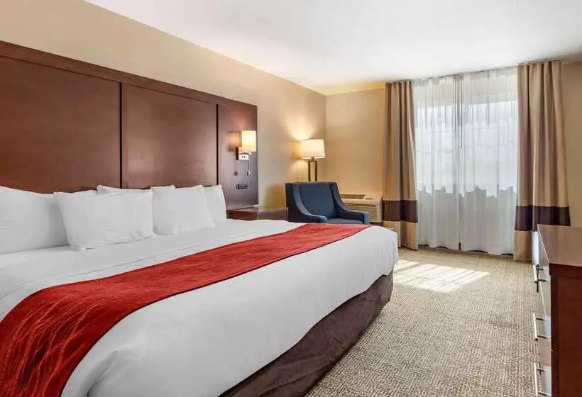 호텔 Comfort Inn Santa Rosa On Route 66