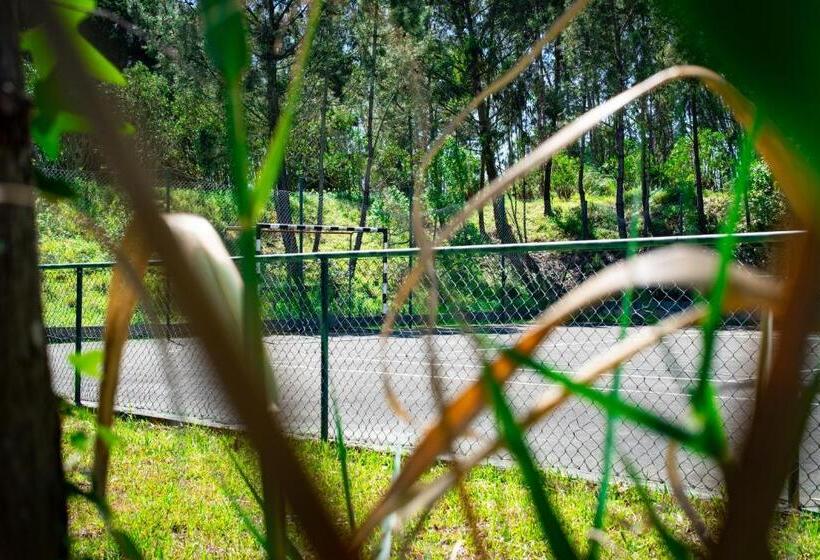 هتل روستایی Rural Quinta Do Juncal