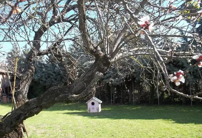 A Casa Vittoria Bed & Breakfast