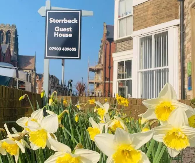 Bed and Breakfast Storrbeck Guest House