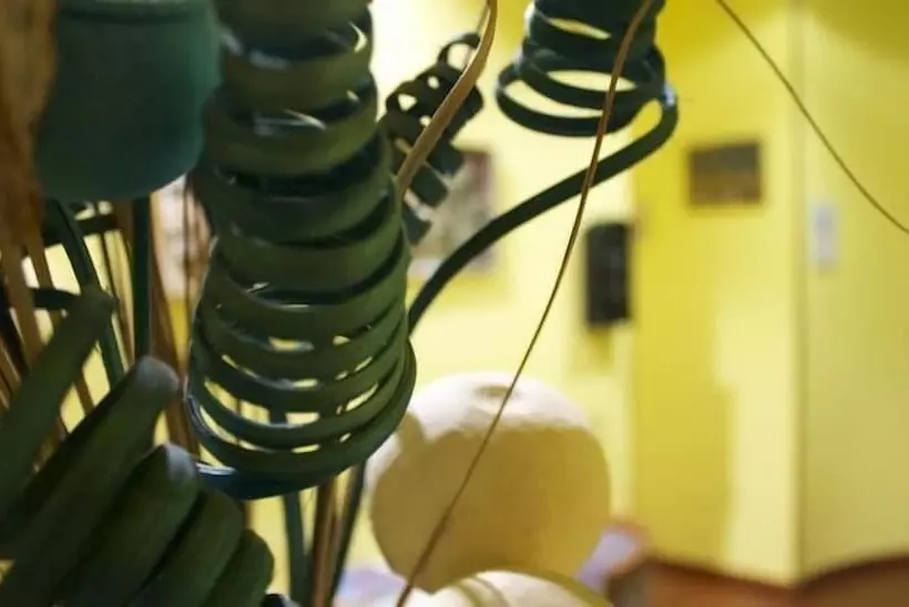 בית מלון כפרי Acquaverde