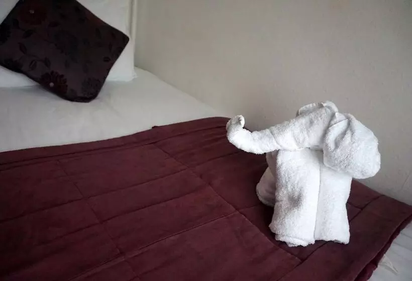 בית מלון כפרי The Ridings Guest House