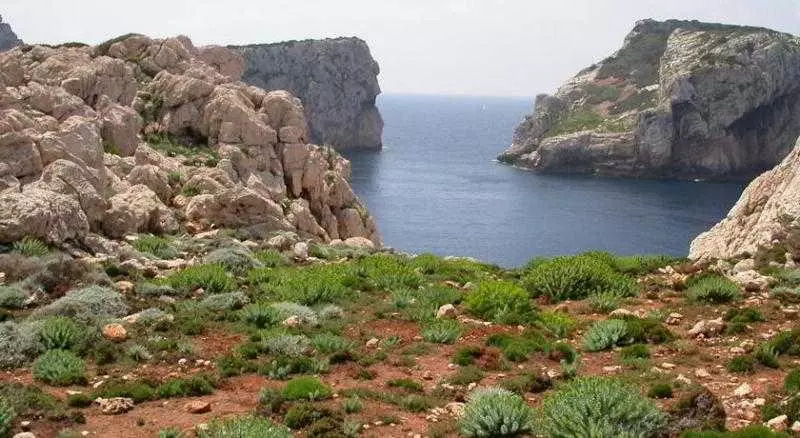 اقامتگاه Gardenia Casa Vacanze