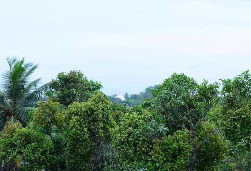 هتل Heritage Eco Resort Kelaniya