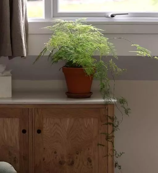 Bed and Breakfast Chestnut Villa