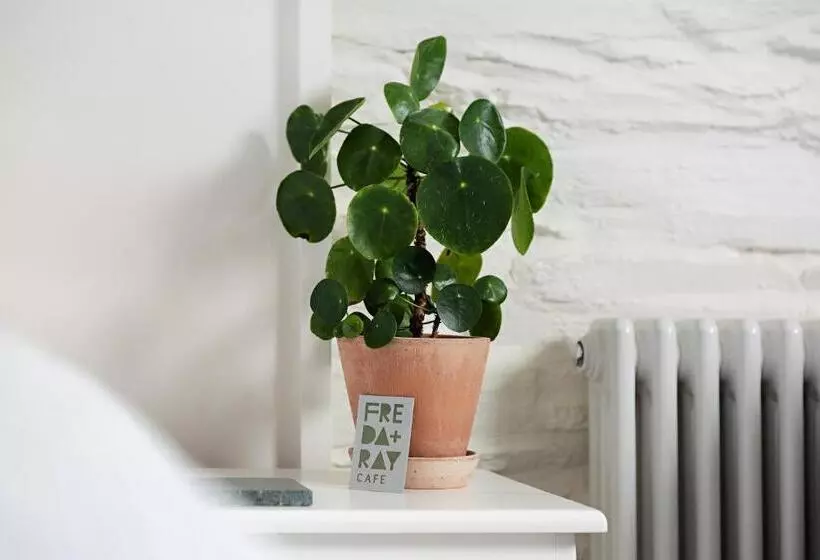 Bed and Breakfast Chestnut Villa