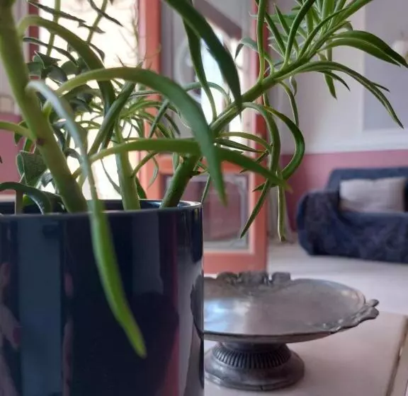 هتل Electra Syros   Adults Only