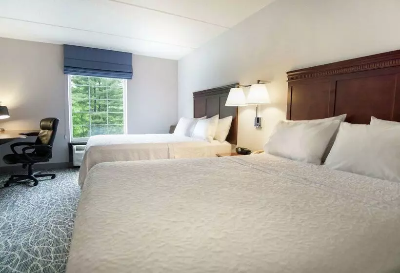 Hotelli Hampton Inn & Suites Berkshires Lenox