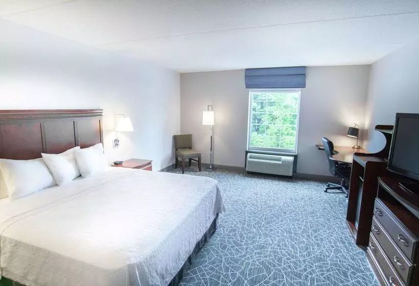 Hotelli Hampton Inn & Suites Berkshires Lenox