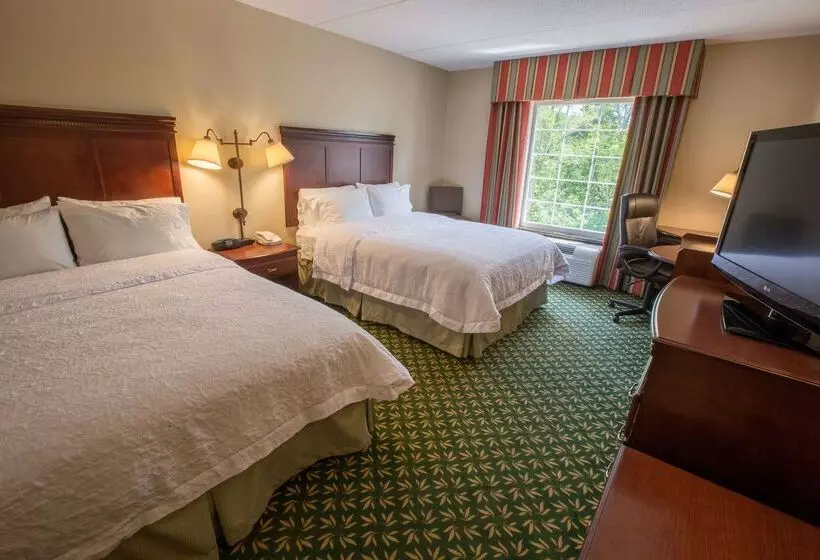Hotelli Hampton Inn & Suites Berkshires Lenox