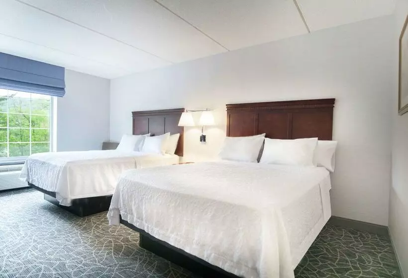 Hotelli Hampton Inn & Suites Berkshires Lenox