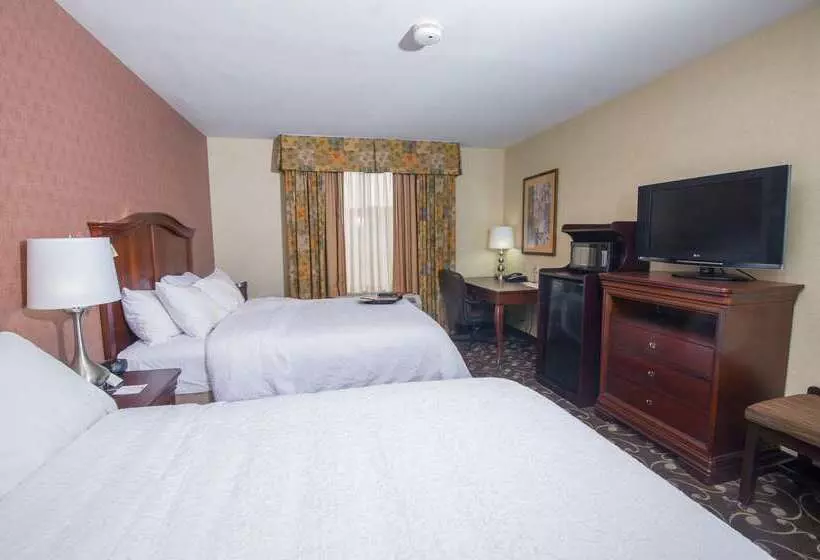 酒店 Hampton Inn Brattleboro