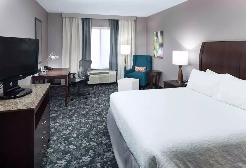 Otel Hilton Garden Inn Detroit/novi