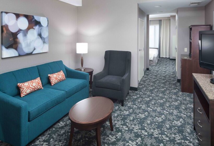 فندق Hilton Garden Inn Detroit/novi