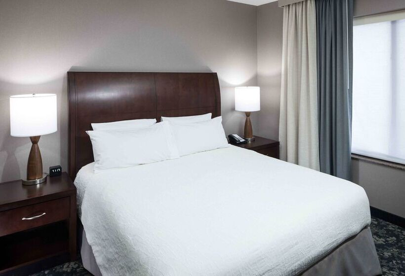 فندق Hilton Garden Inn Detroit/novi