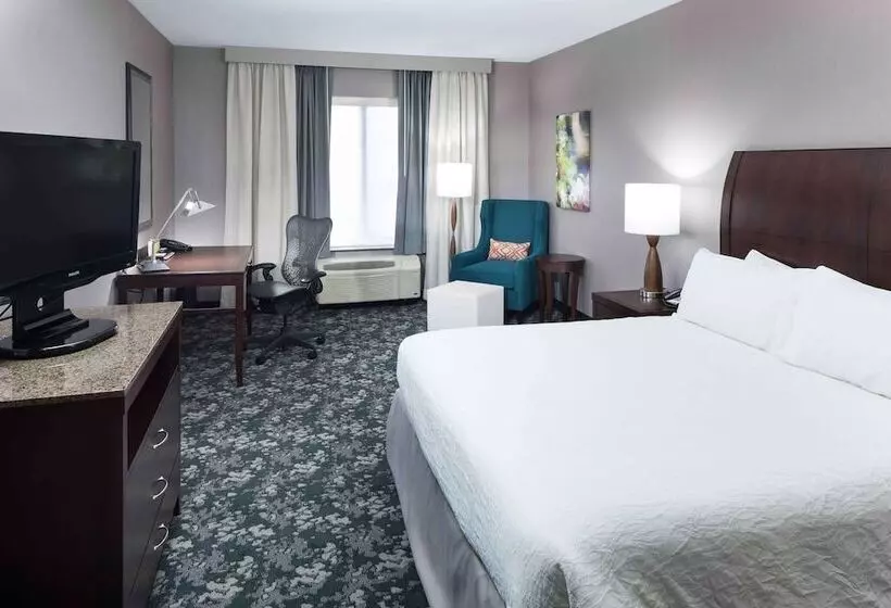 Otel Hilton Garden Inn Detroit/novi