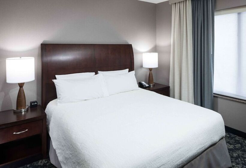 فندق Hilton Garden Inn Detroit/novi
