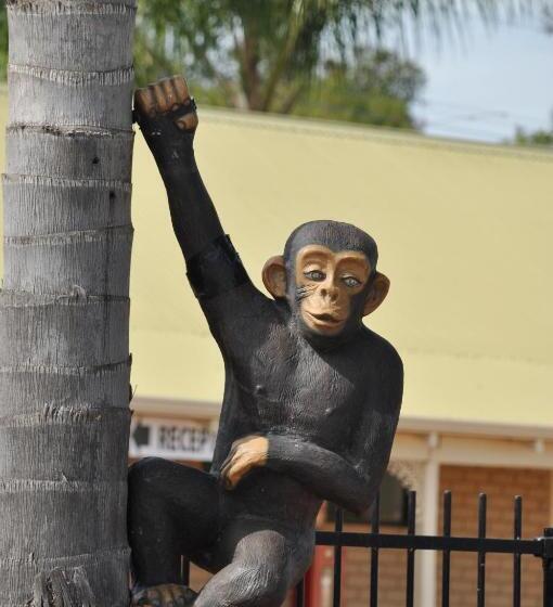 酒店 Pinjarra Resort