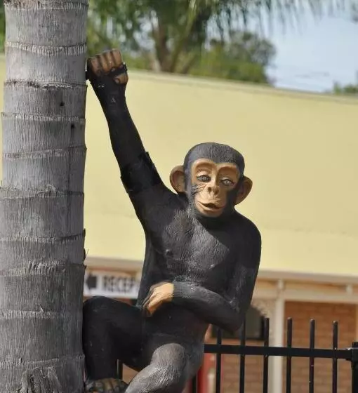 酒店 Pinjarra Resort