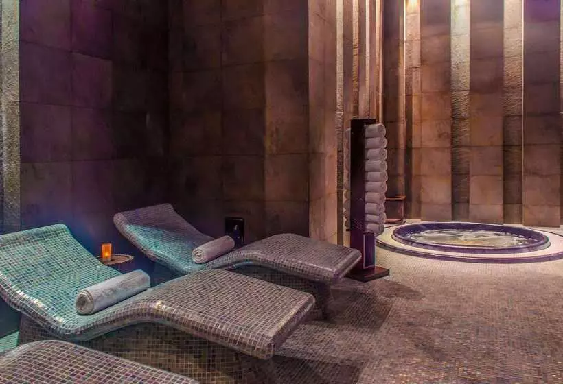 酒店 Playacar Palace All Inclusive