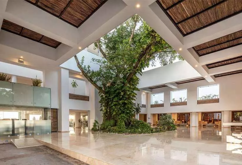 酒店 Playacar Palace All Inclusive