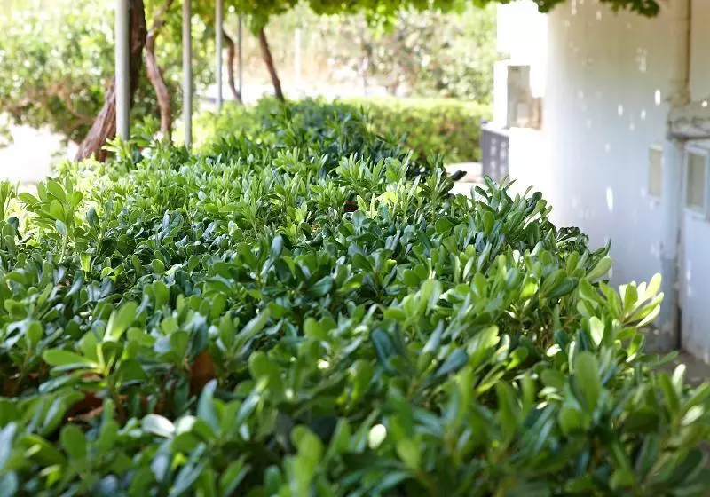 فندق Princess Europa