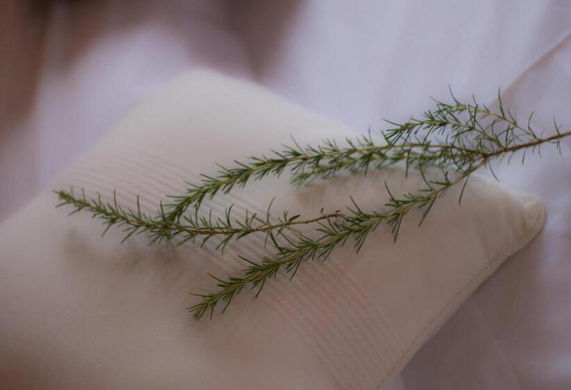 בית מלון כפרי Petit Hotel Hostatgeria La Victoria