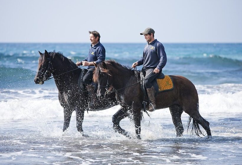 בית מלון כפרי Rural Binigaus Vell