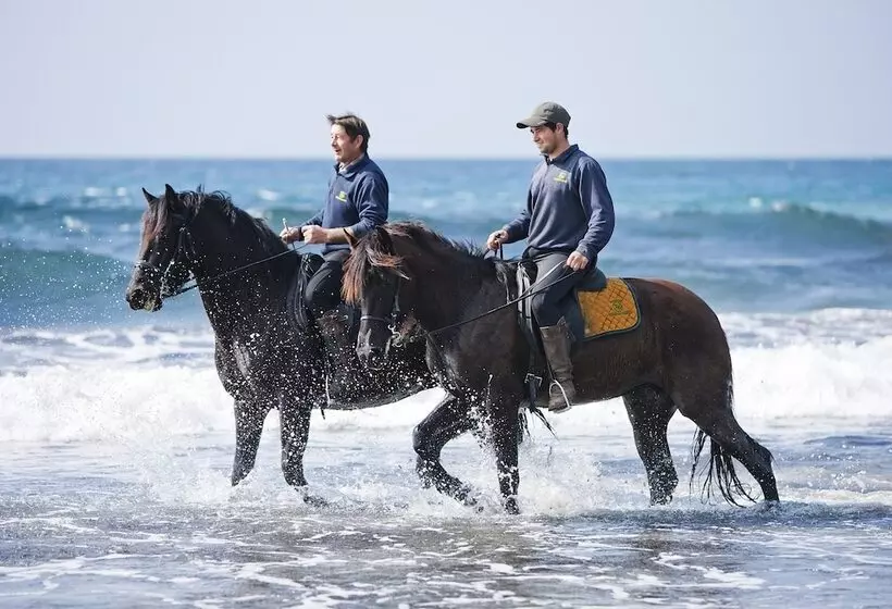 Сельский отель Rural Binigaus Vell